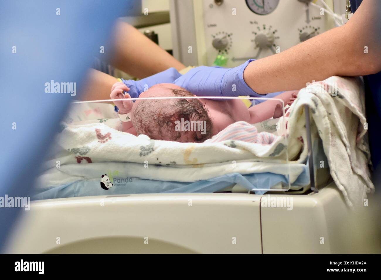 Newborn baby being checked out immediately after birth Stock Photo Alamy