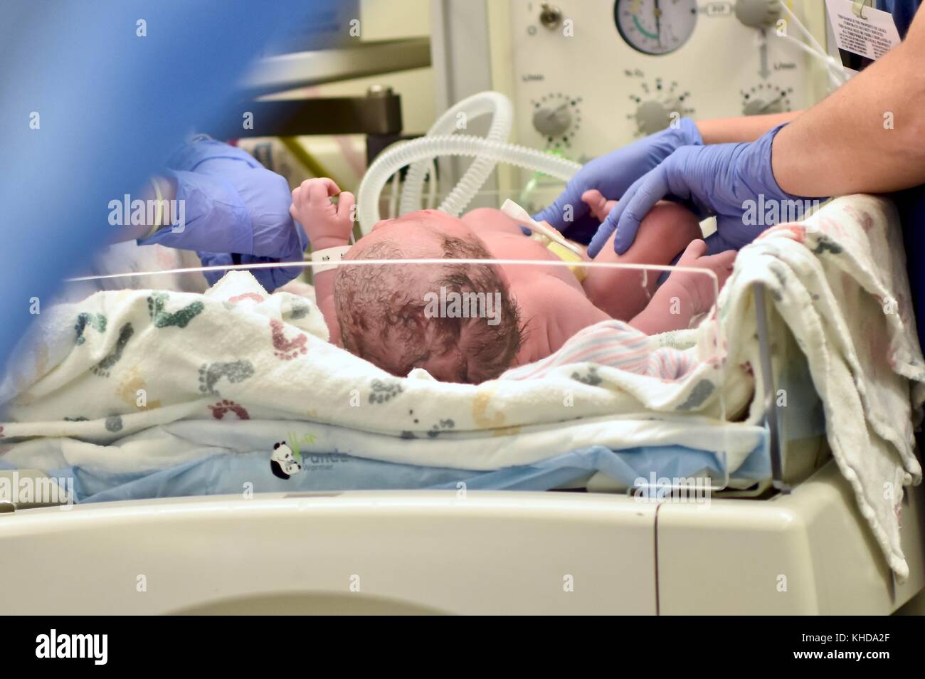 Newborn baby being checked out immediately after birth Stock Photo Alamy
