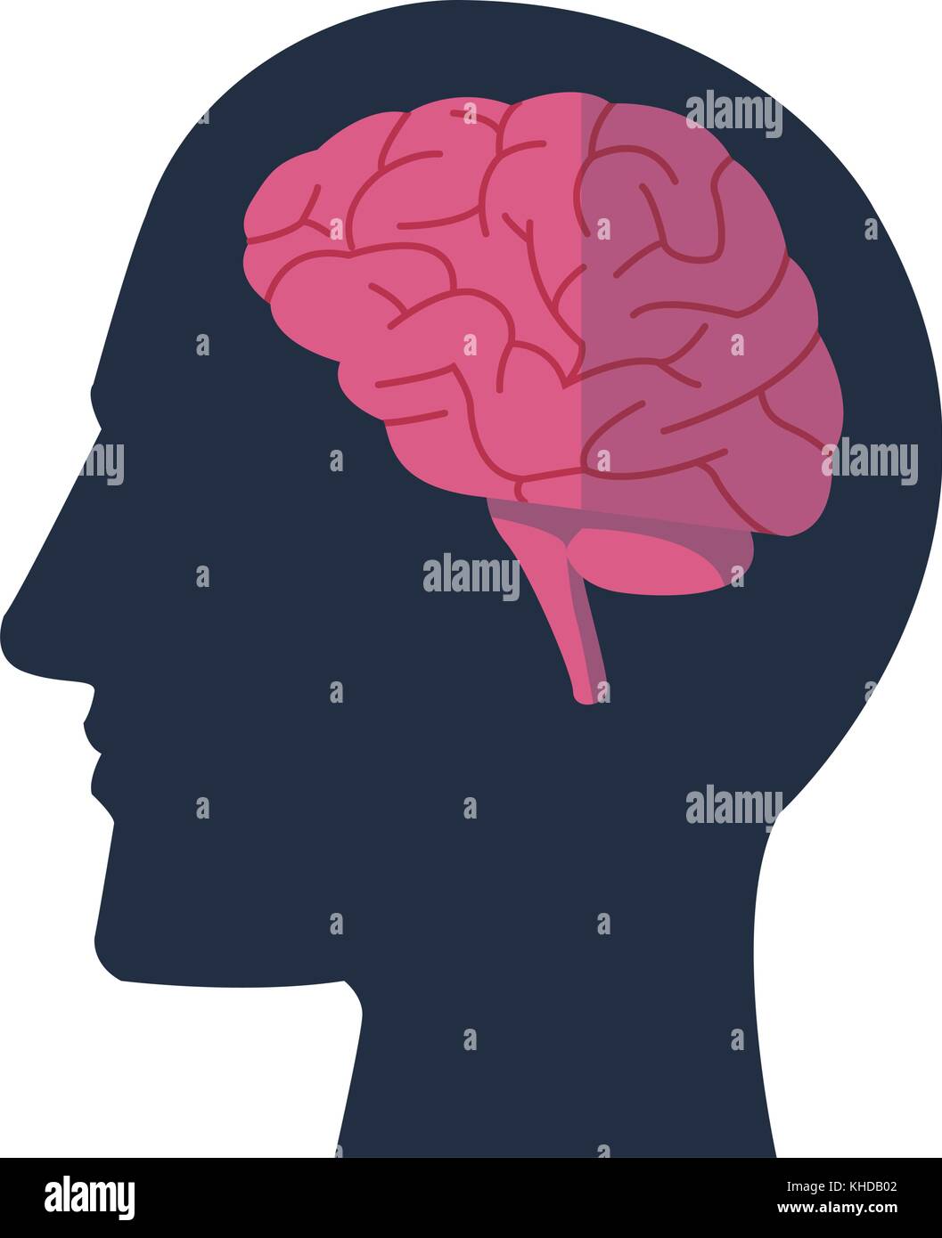 Human head with brain Stock Vector Image & Art - Alamy