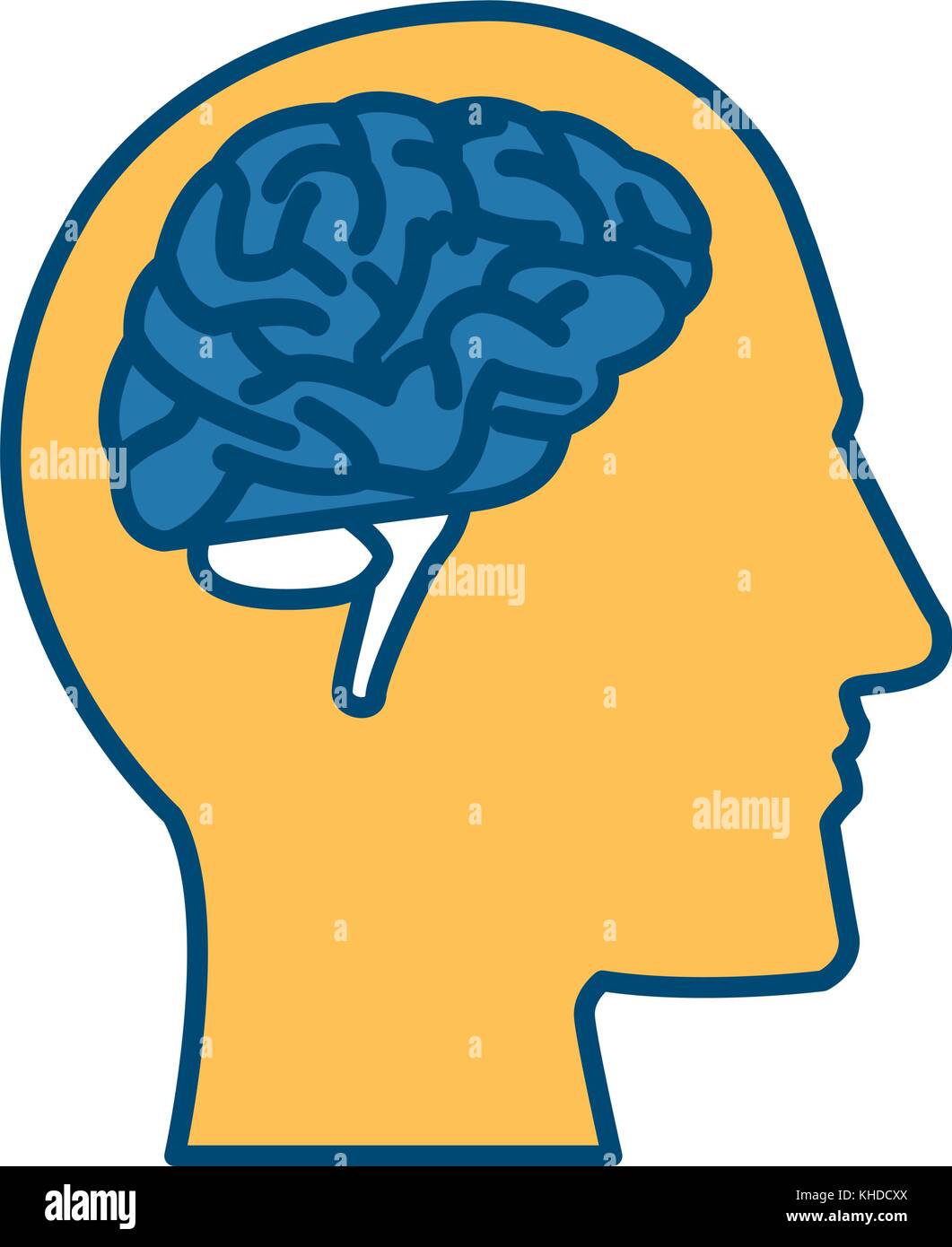 Human head with brain Stock Vector Image & Art - Alamy