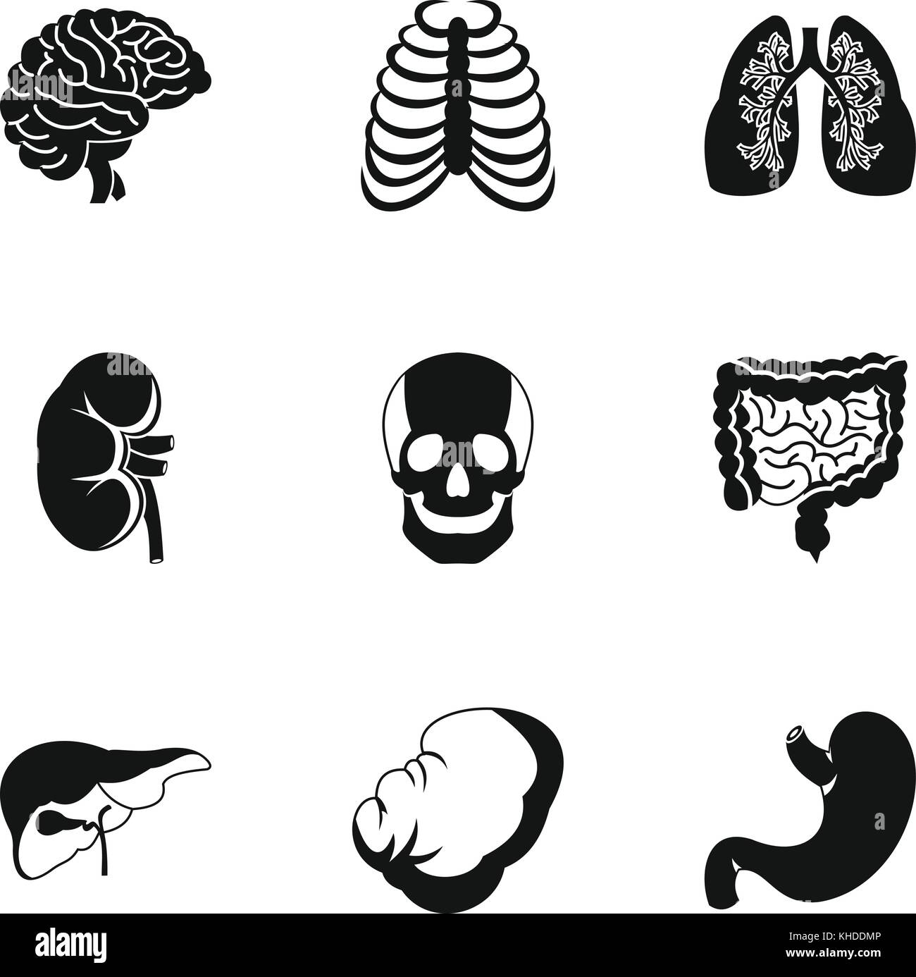 Structure of human icons set, simple style Stock Vector Image & Art - Alamy