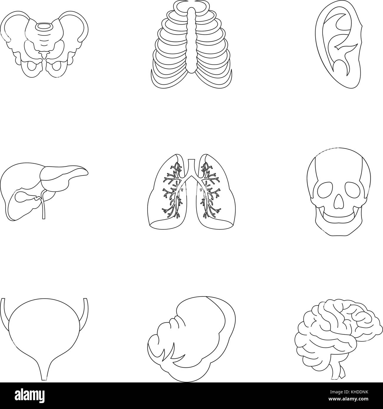 Human Internal Organs Black and White Stock Photos & Images - Alamy