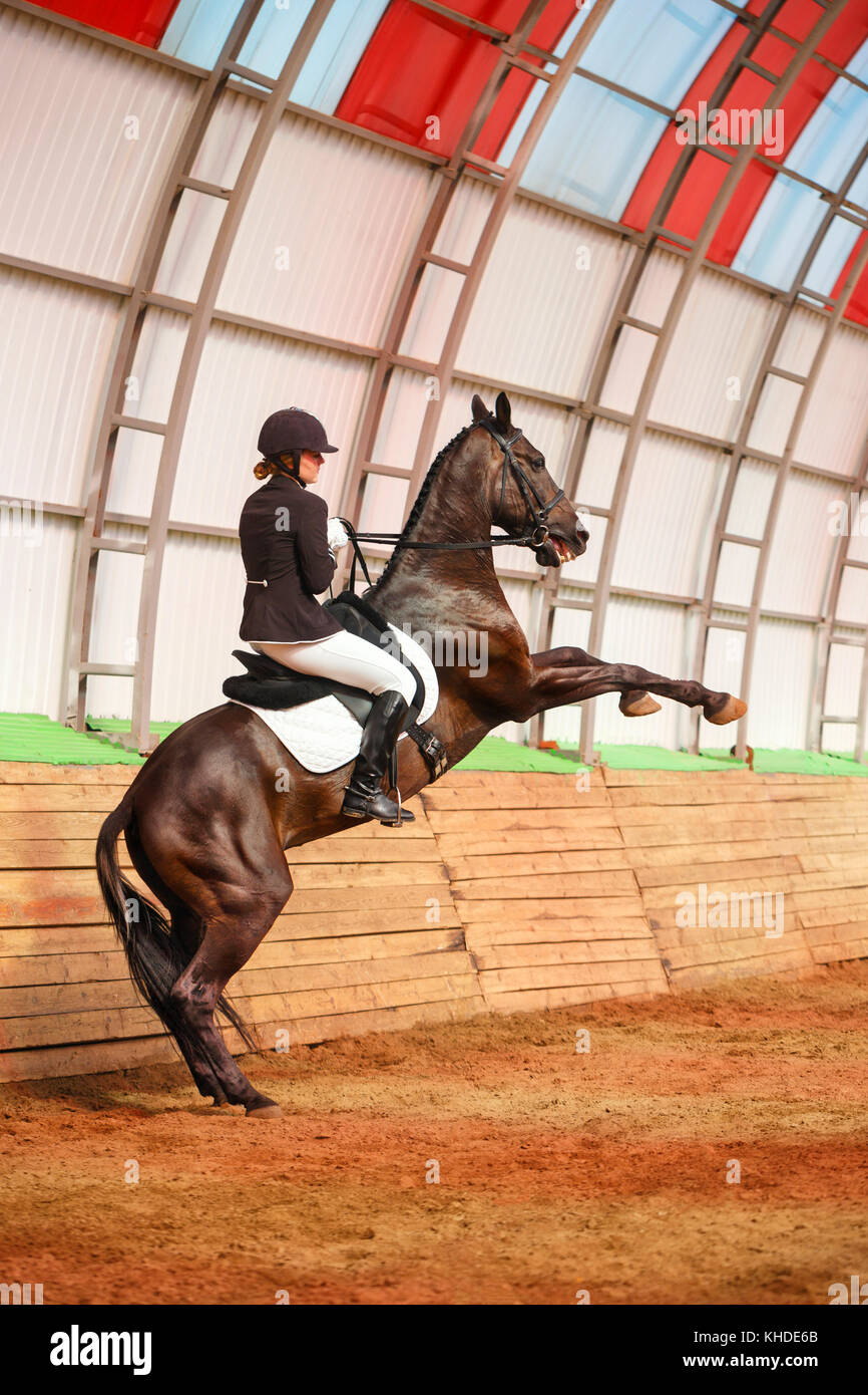 A sweet girl jockey rides a horse in a covered arena. Training candles, stand on hind legs. A