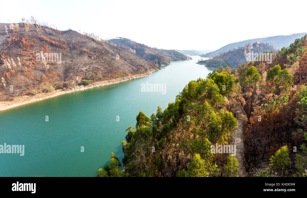 Forest fires destroyed hectatres of eucalypt and pine forests along the banks of the Castelo de Bode Dam during the extremely hot summer of 2017 in Ce Stock Photo