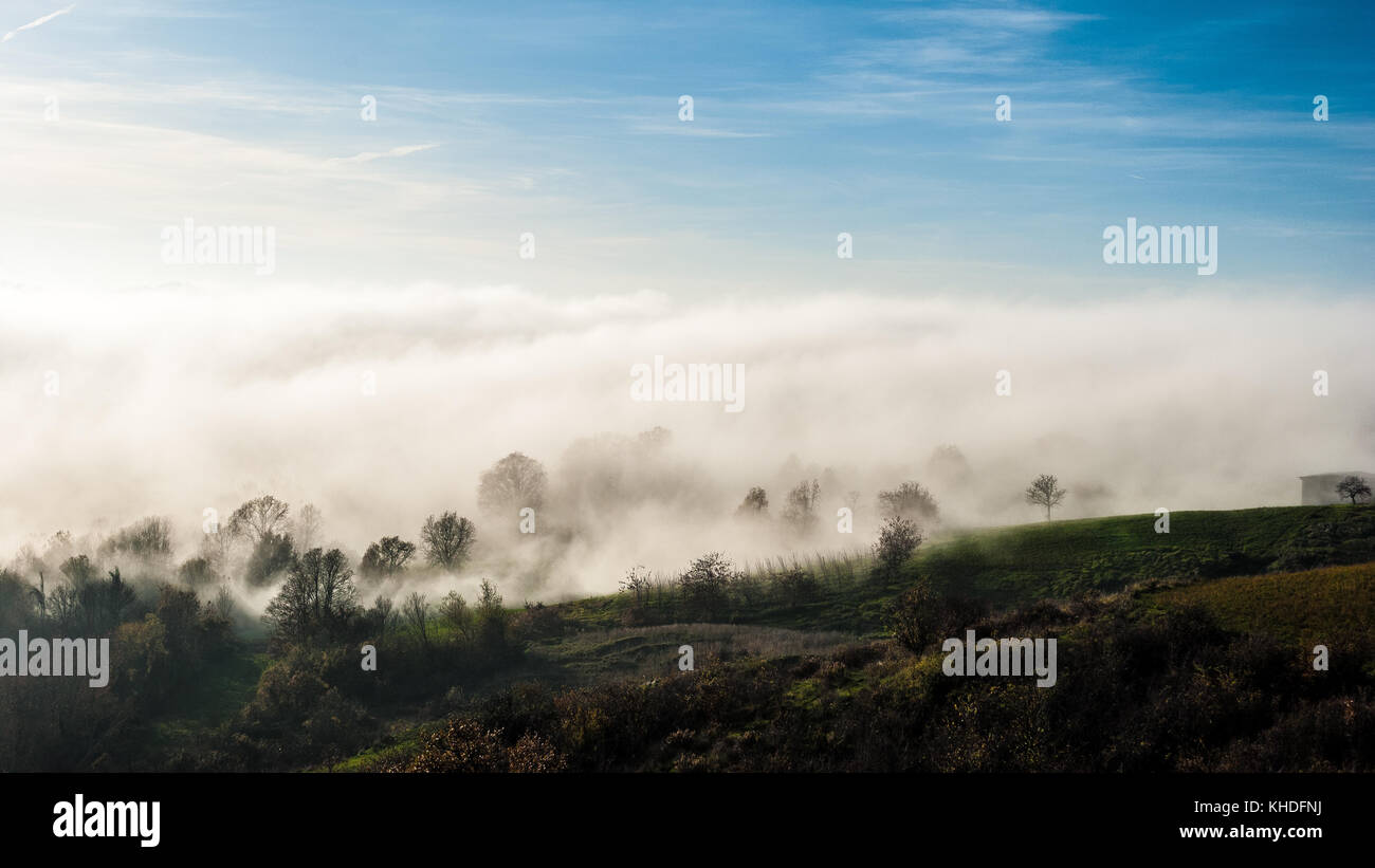Mist fog hills trees hi-res stock photography and images - Alamy
