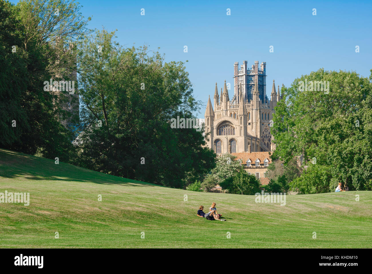 Ely Cambridgeshire UK, view in summer of the Octagon tower of Ely Cathedral rising high above Cherry Hill Park in the city of Ely, Cambridgeshire. Stock Photo