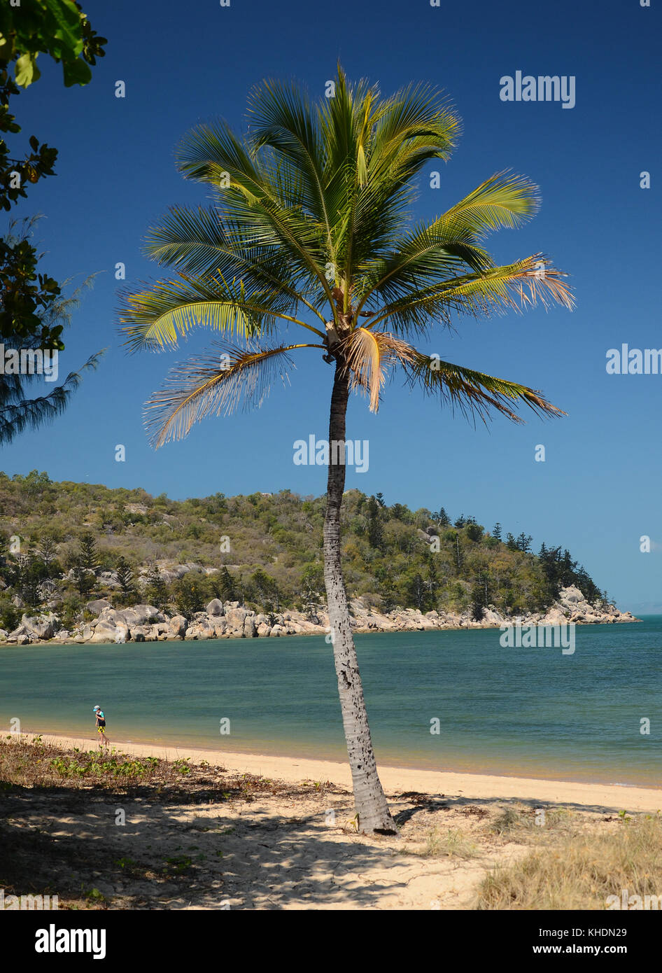 picnic bay jetty island Queensland. Australia Stock Photo Alamy