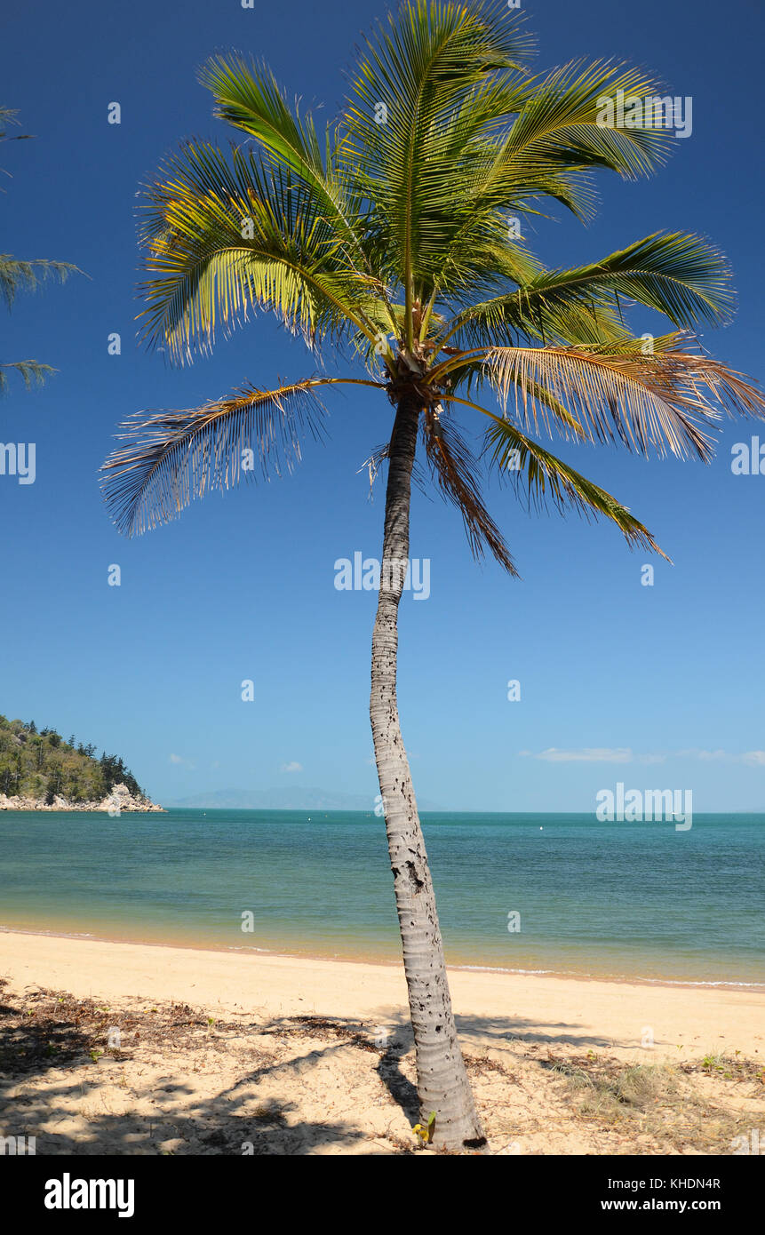 picnic bay jetty island Queensland. Australia Stock Photo Alamy