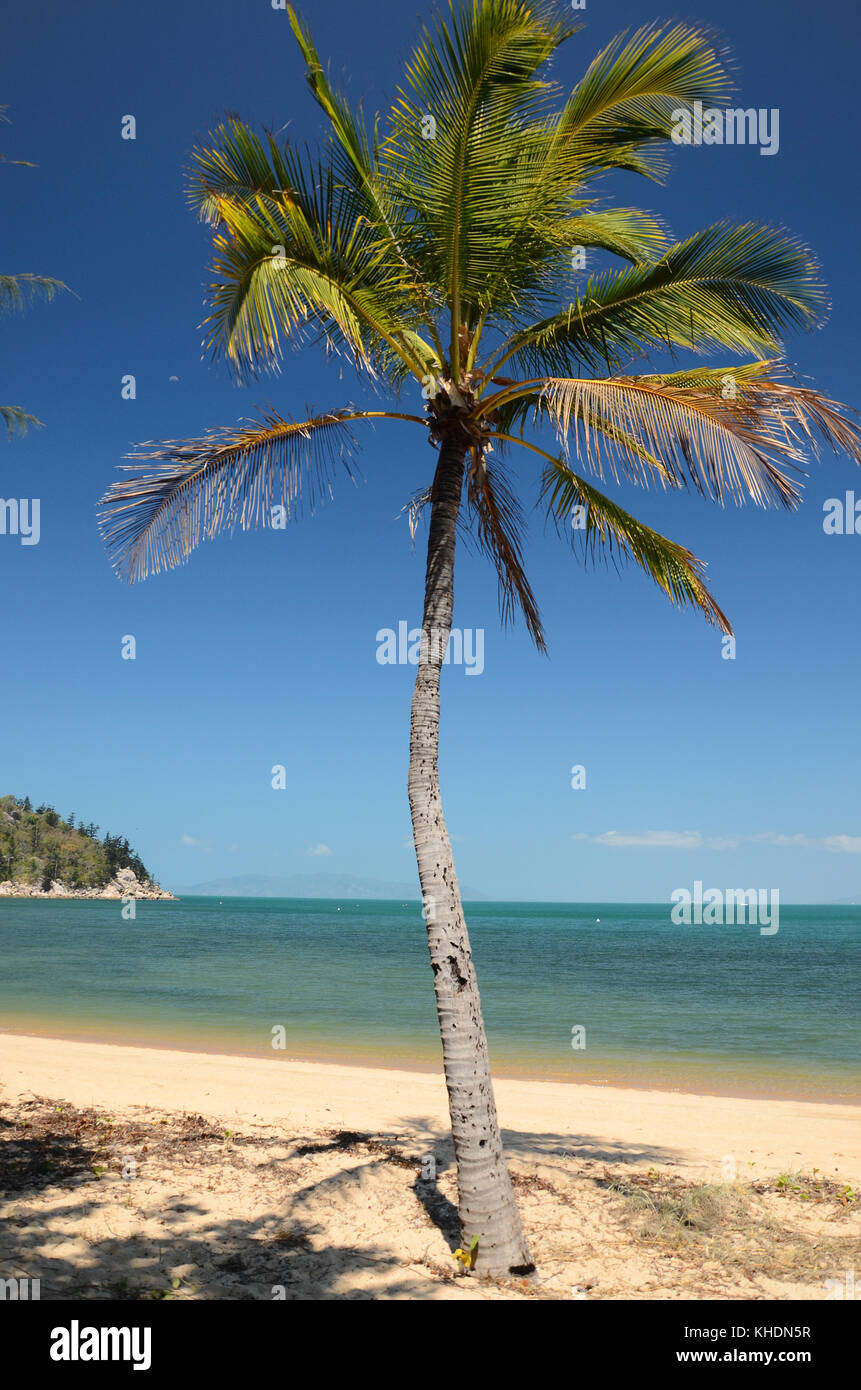 picnic bay jetty island Queensland. Australia Stock Photo Alamy