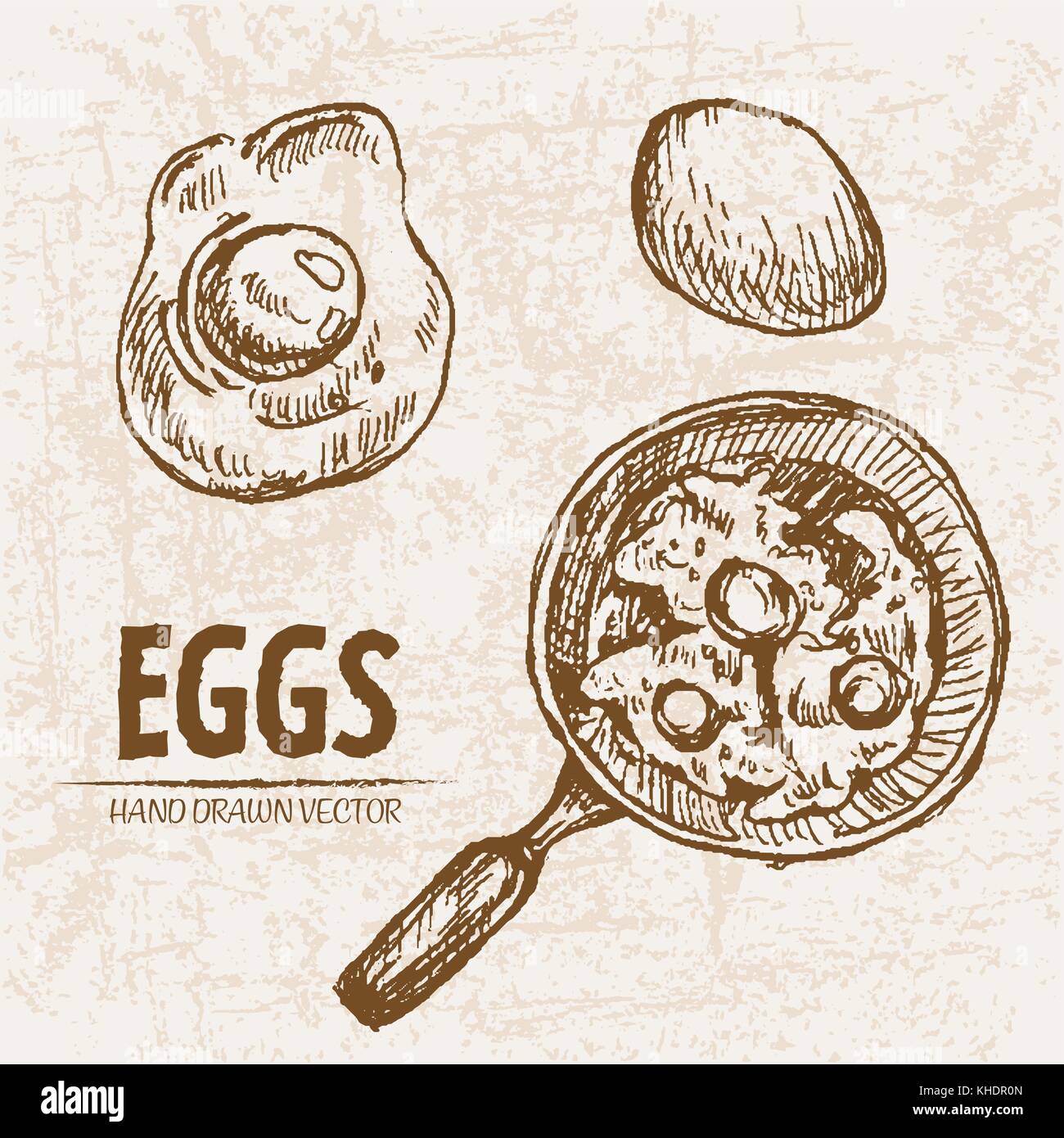 Digital Vector Detailed Line Art Cooking Eggs In Frying Pan Hand Drawn Retro Illustration