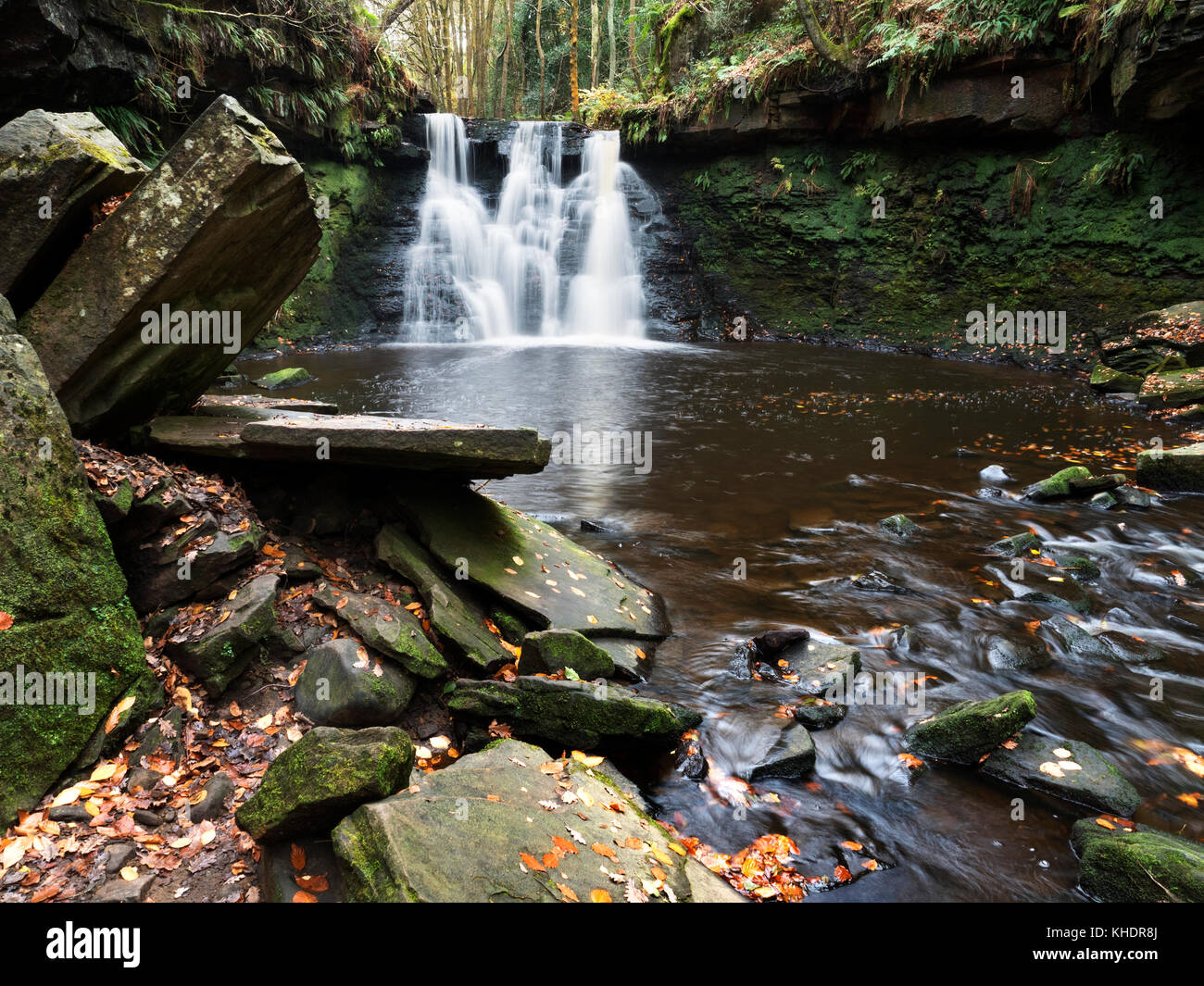 Goitstock Waterfall in Autumn Goitstock Wood Cullingworth West Yorkshire England Stock Photo