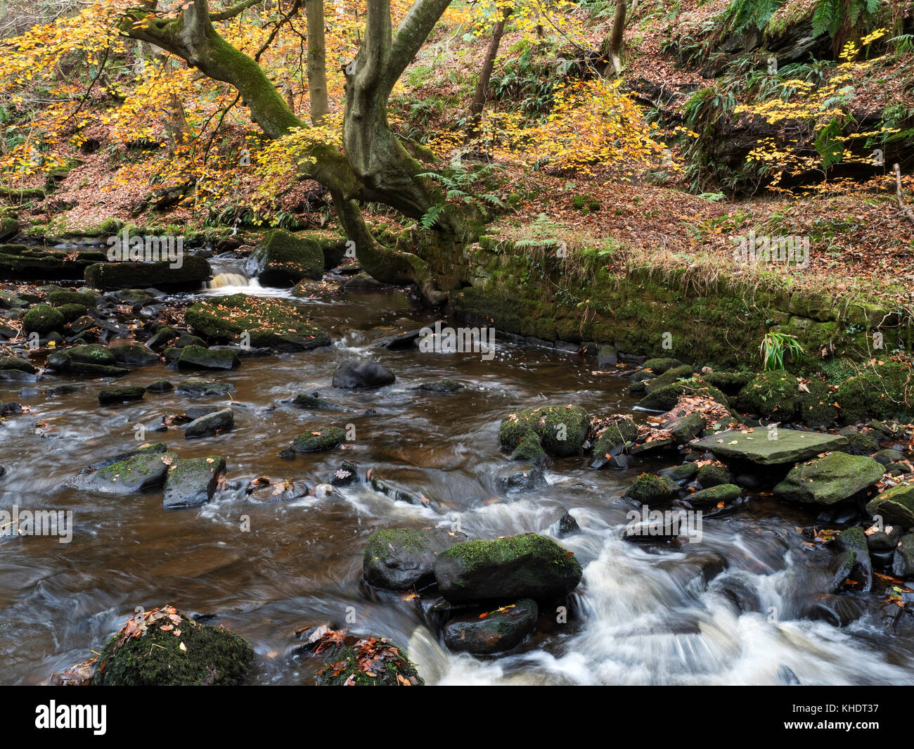 Harden west yorkshire hires stock photography and images Alamy