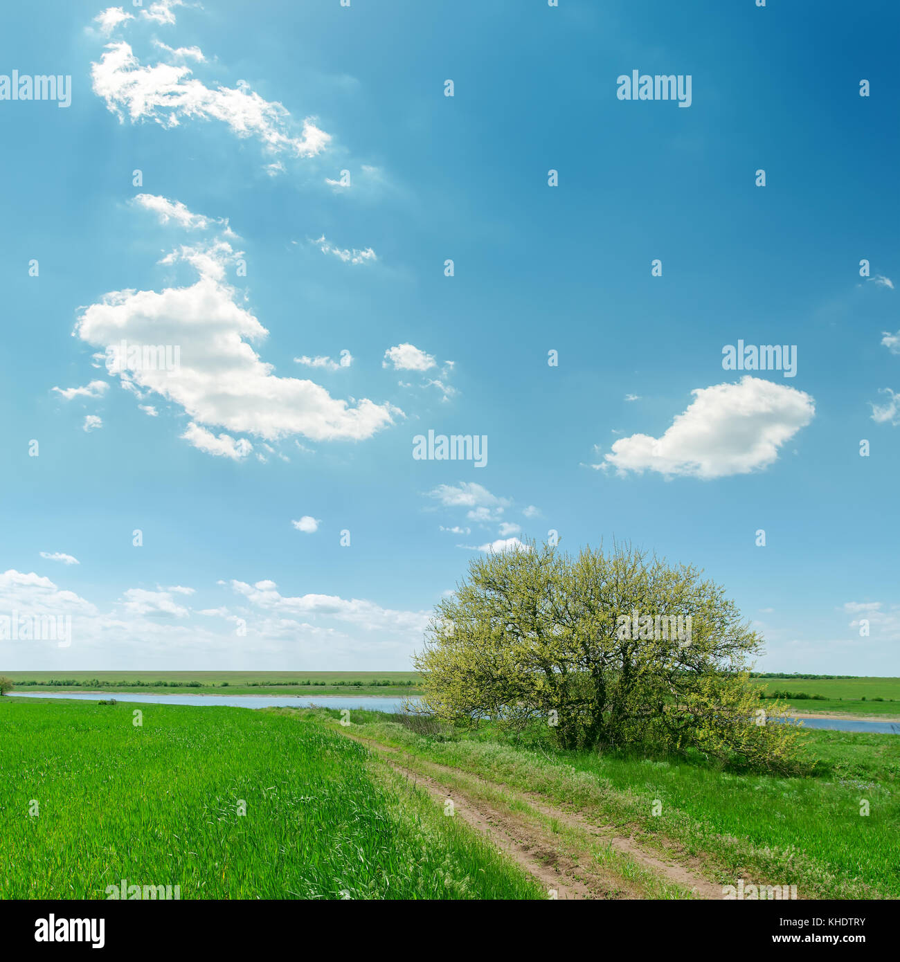 road in green grass near tree and blue sky with clouds Stock Photo - Alamy