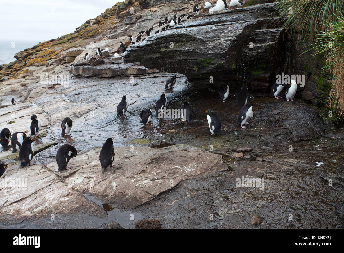 Rinsing off salt water hi-res stock photography and images - Alamy