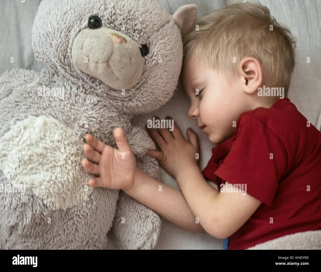 4-years-old Caucasian boy sleeping in bed with favorite toy - big plush cat Stock Photo