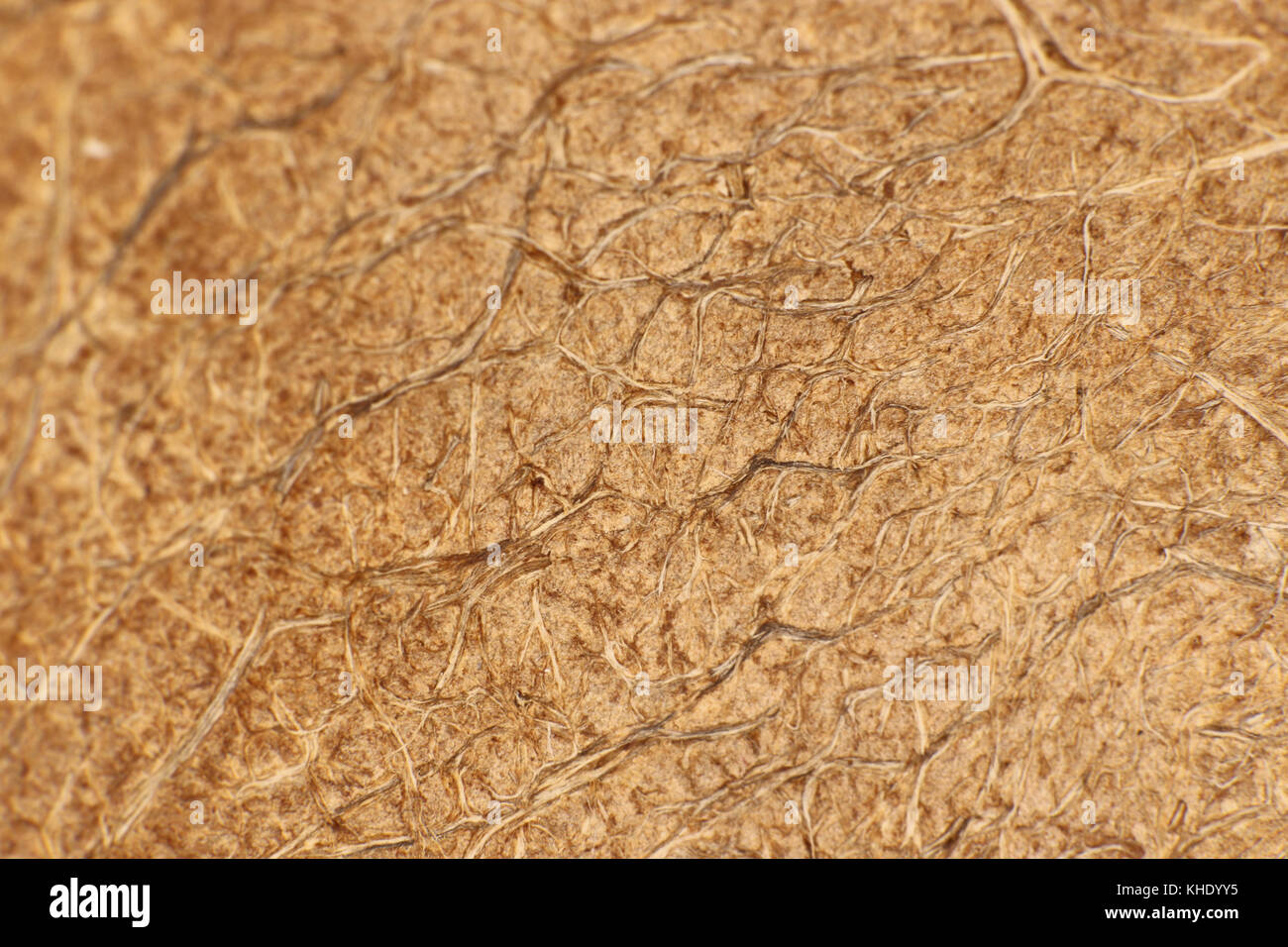 Coconut palm fibers hi-res stock photography and images - Alamy