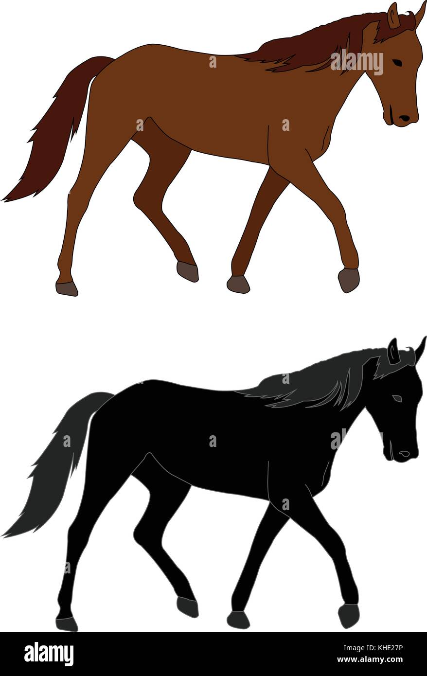 horse illustration - vector Stock Vector