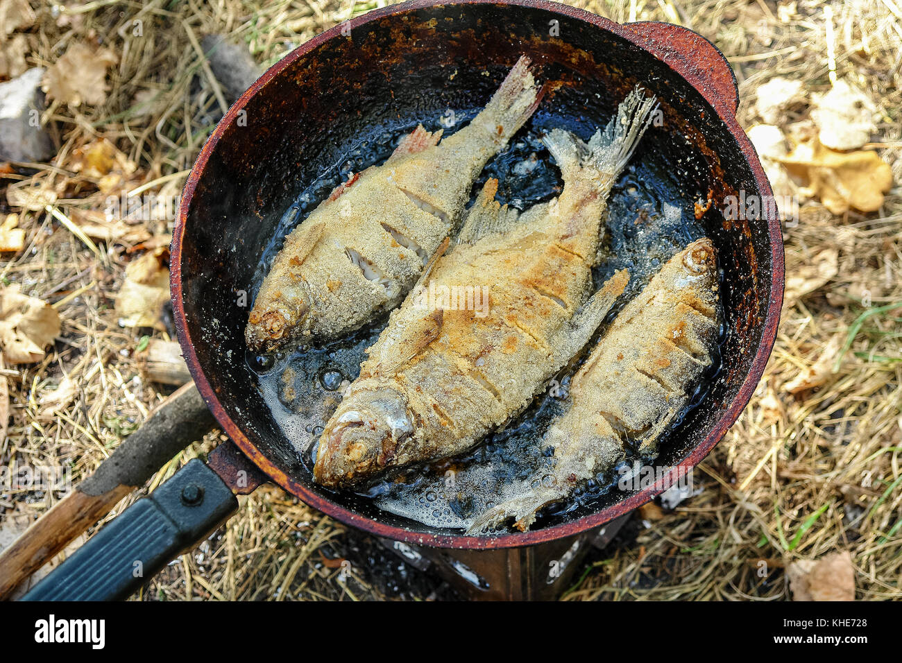 Pan frying fish 