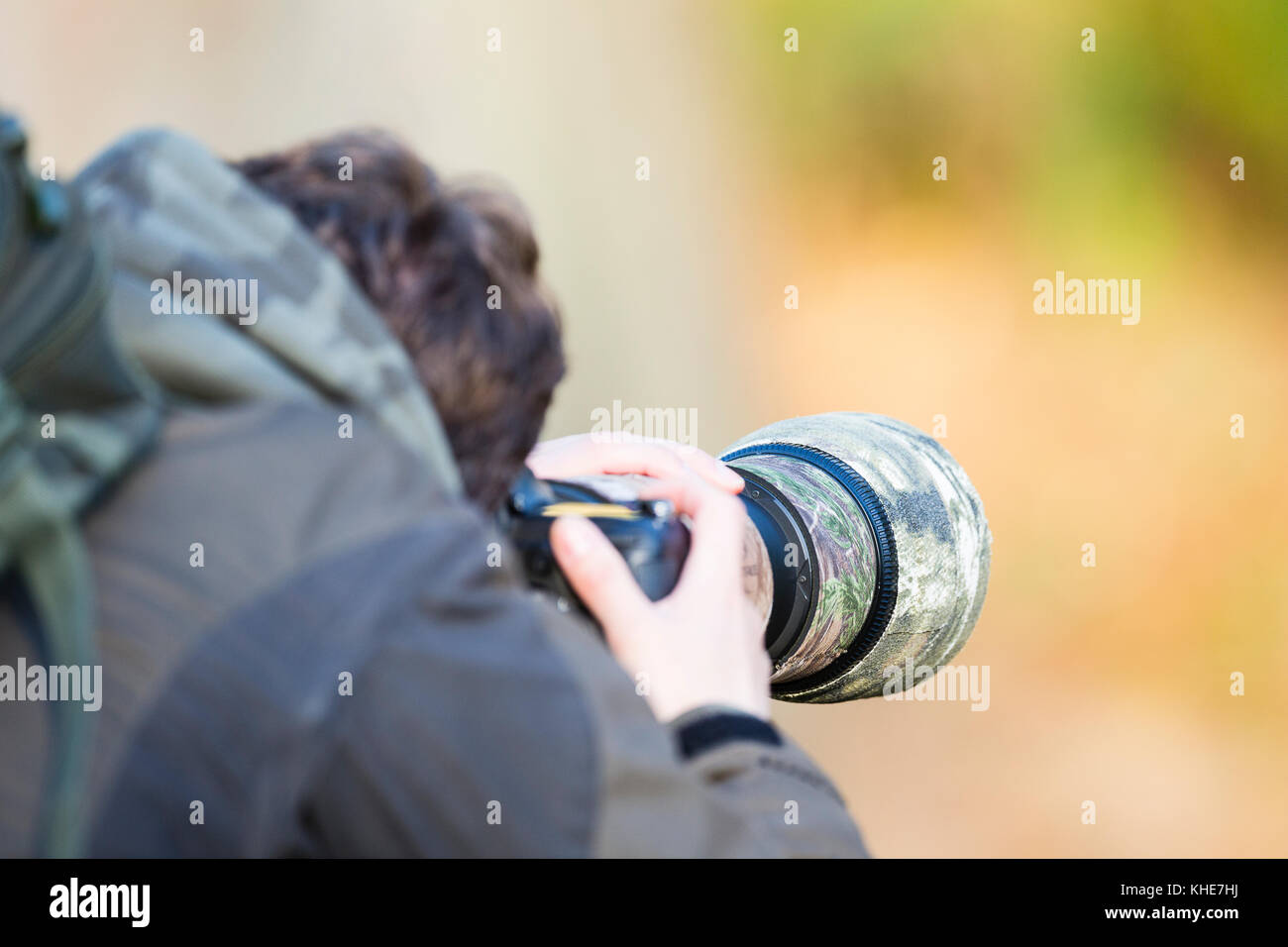 Richmond Park, London. A male photographer using a camera with a large camouflaged lens takes a photograph. Stock Photo