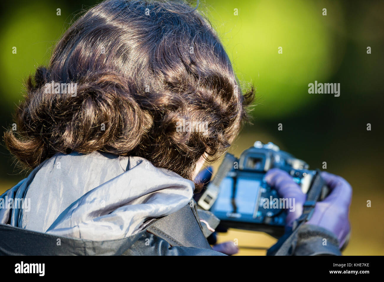 Richmond Park, London. Female photographer adjusting her camera. Stock Photo