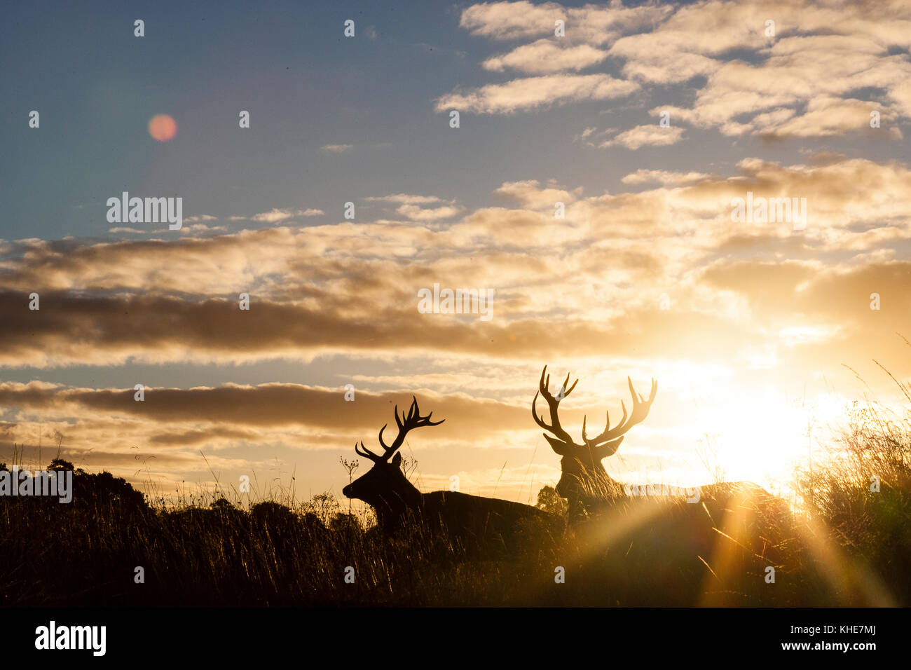The rising sun richmond hi-res stock photography and images - Alamy