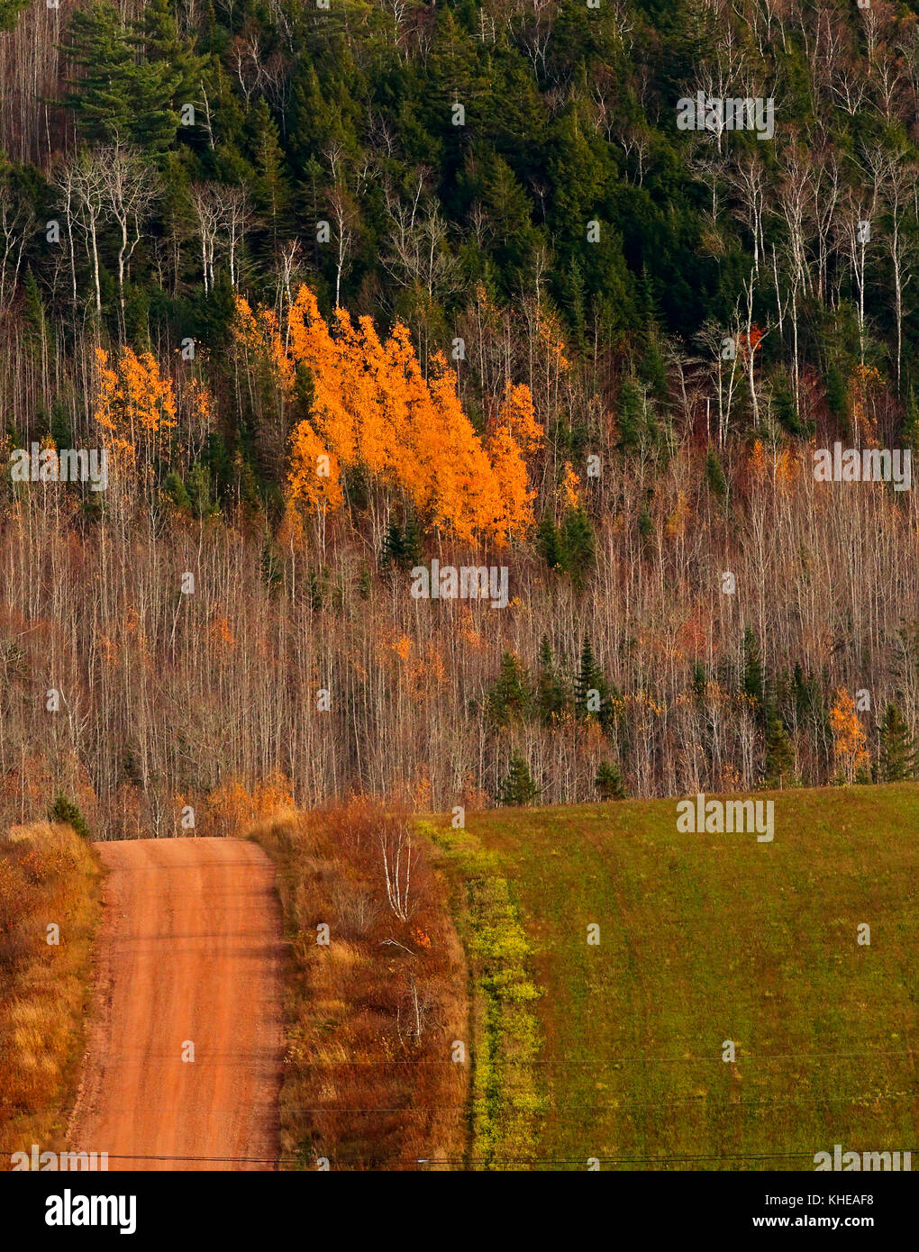 Country dirt road and array of autumn colors in Kings County, New