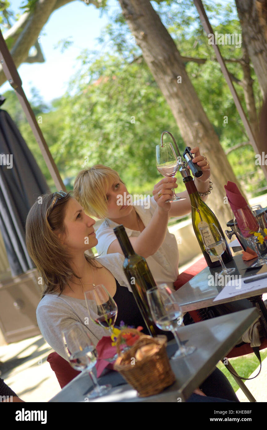 “Food and Wine Pairing” lunch in Gigondas at the Caveau des Gourmets, France Stock Photo