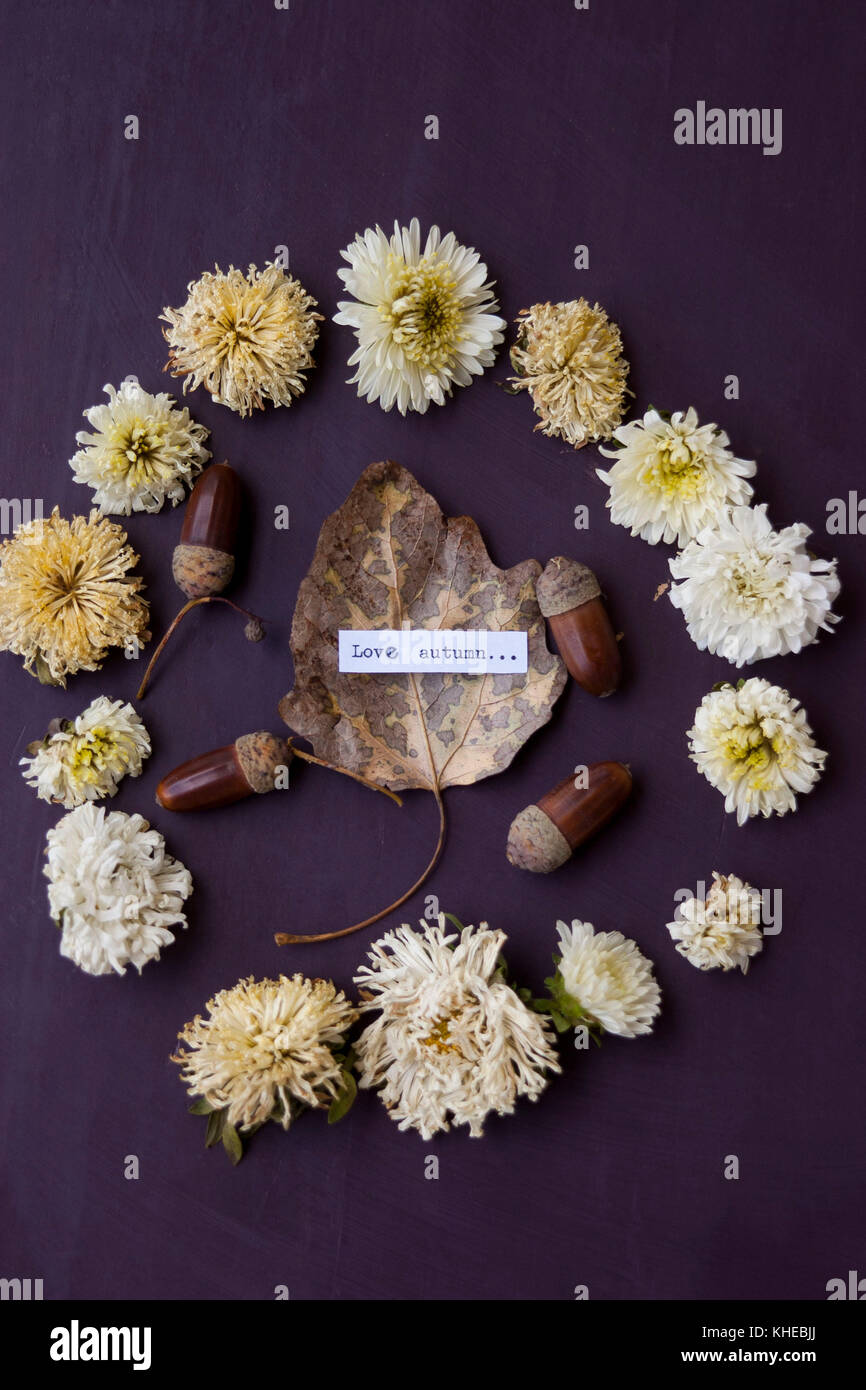 Dry flowers and leaves on the table Stock Photo Alamy