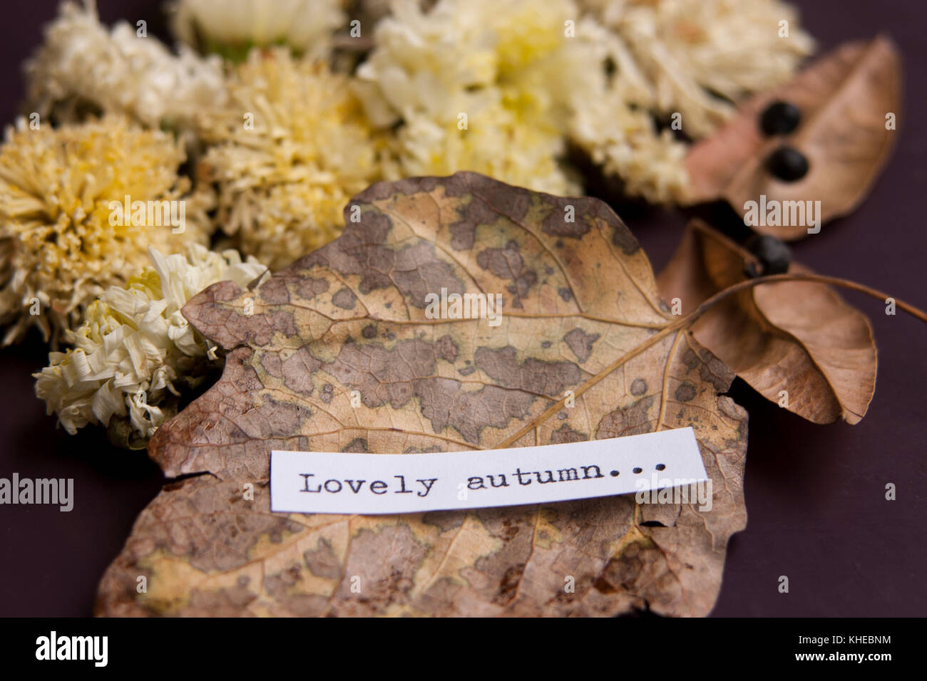 Dry flowers and leaves on the table Stock Photo Alamy