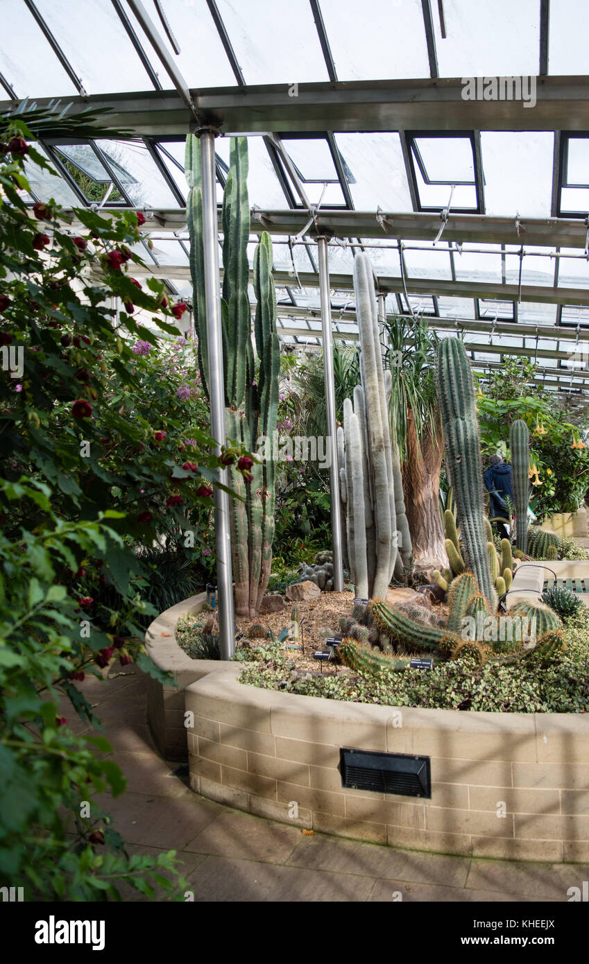 Sheffield Botanical Gardens Stock Photo Alamy