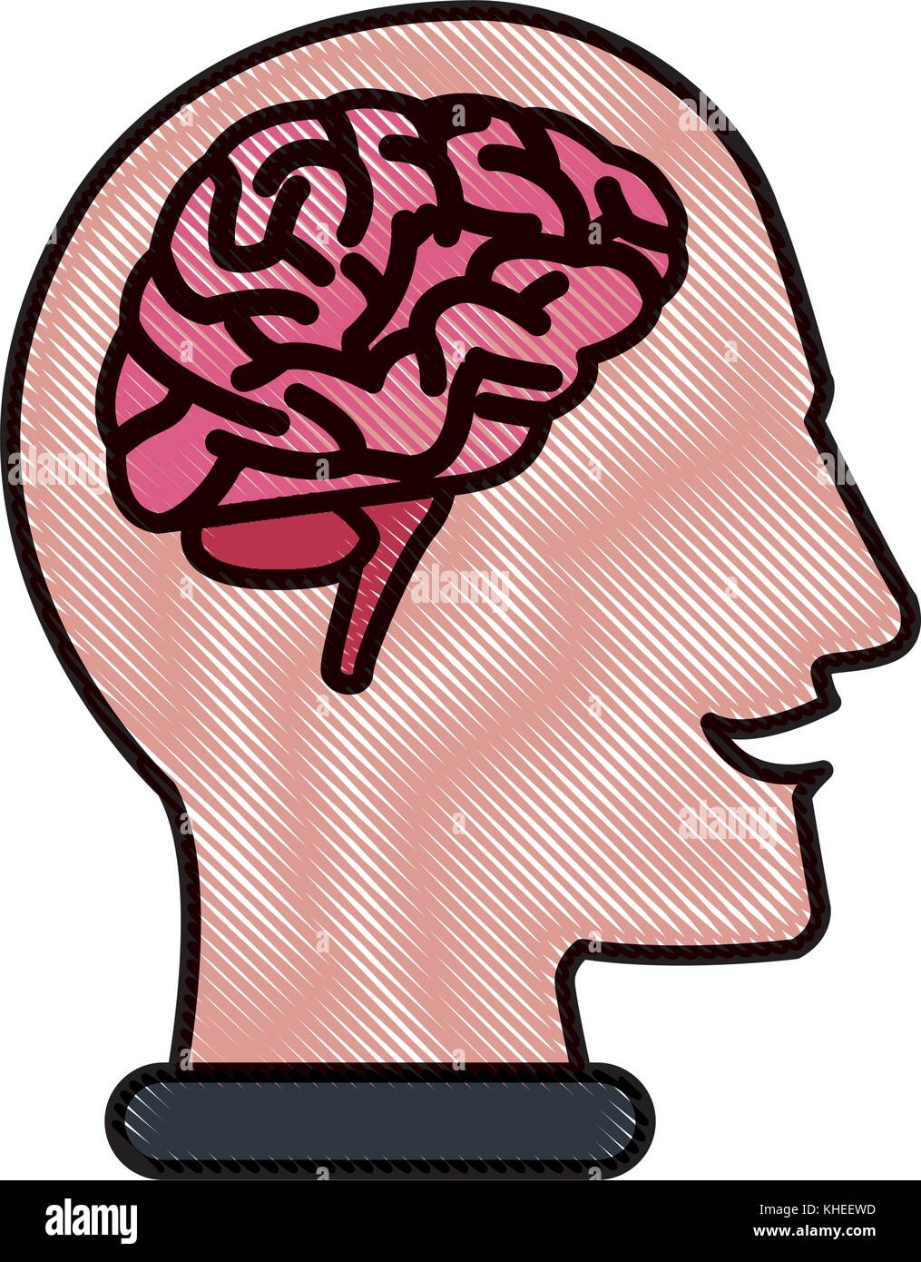 Human head with brain Stock Vector Image & Art - Alamy