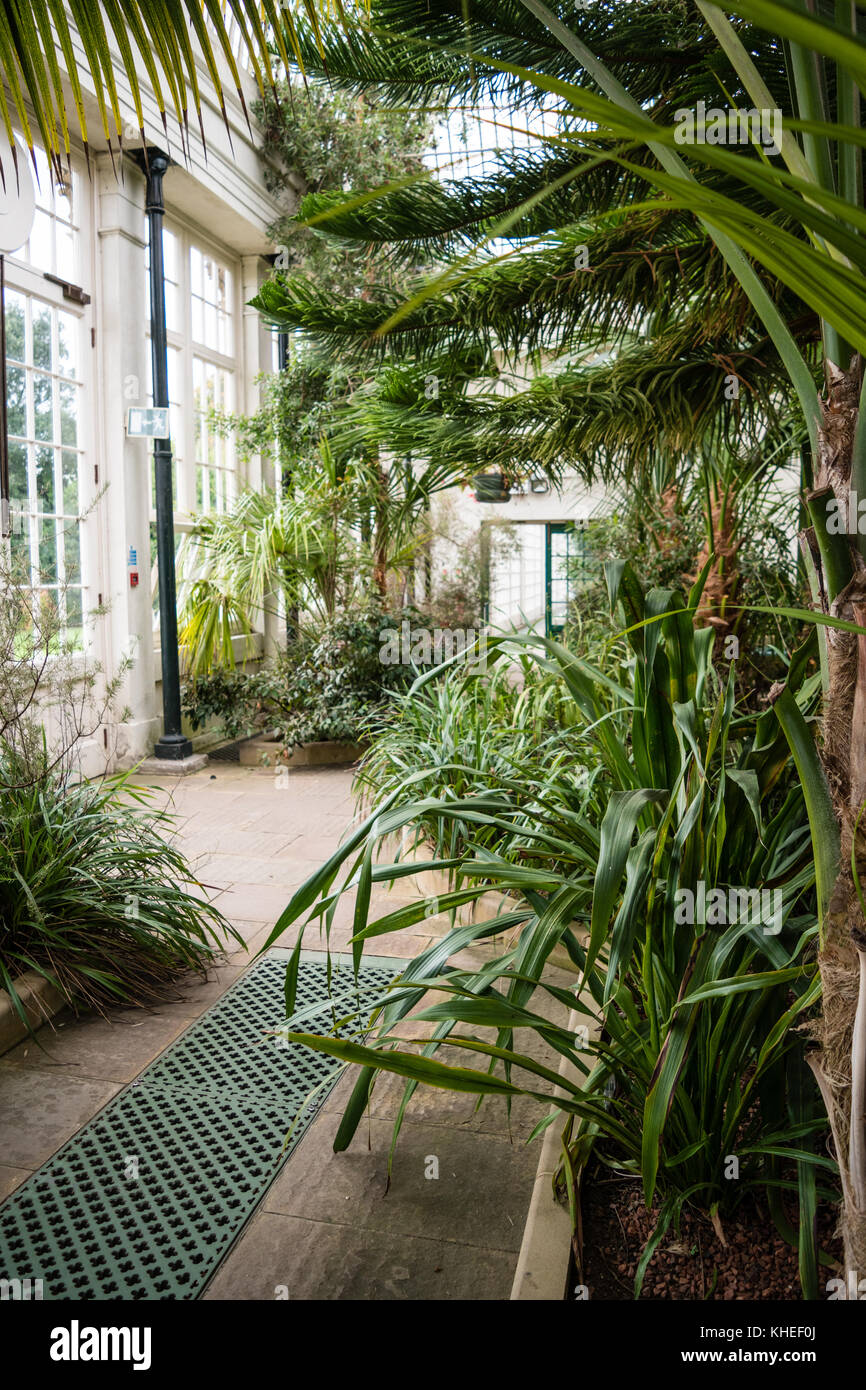 Sheffield Botanical Gardens Stock Photo Alamy