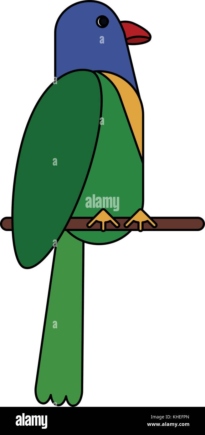 Beautiful parrot bird Stock Vector Image & Art - Alamy