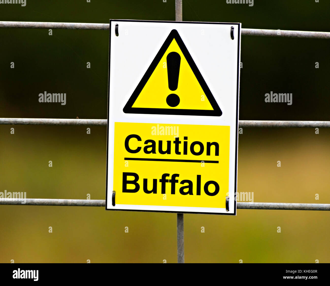 Buffalo warning sign hires stock photography and images Alamy
