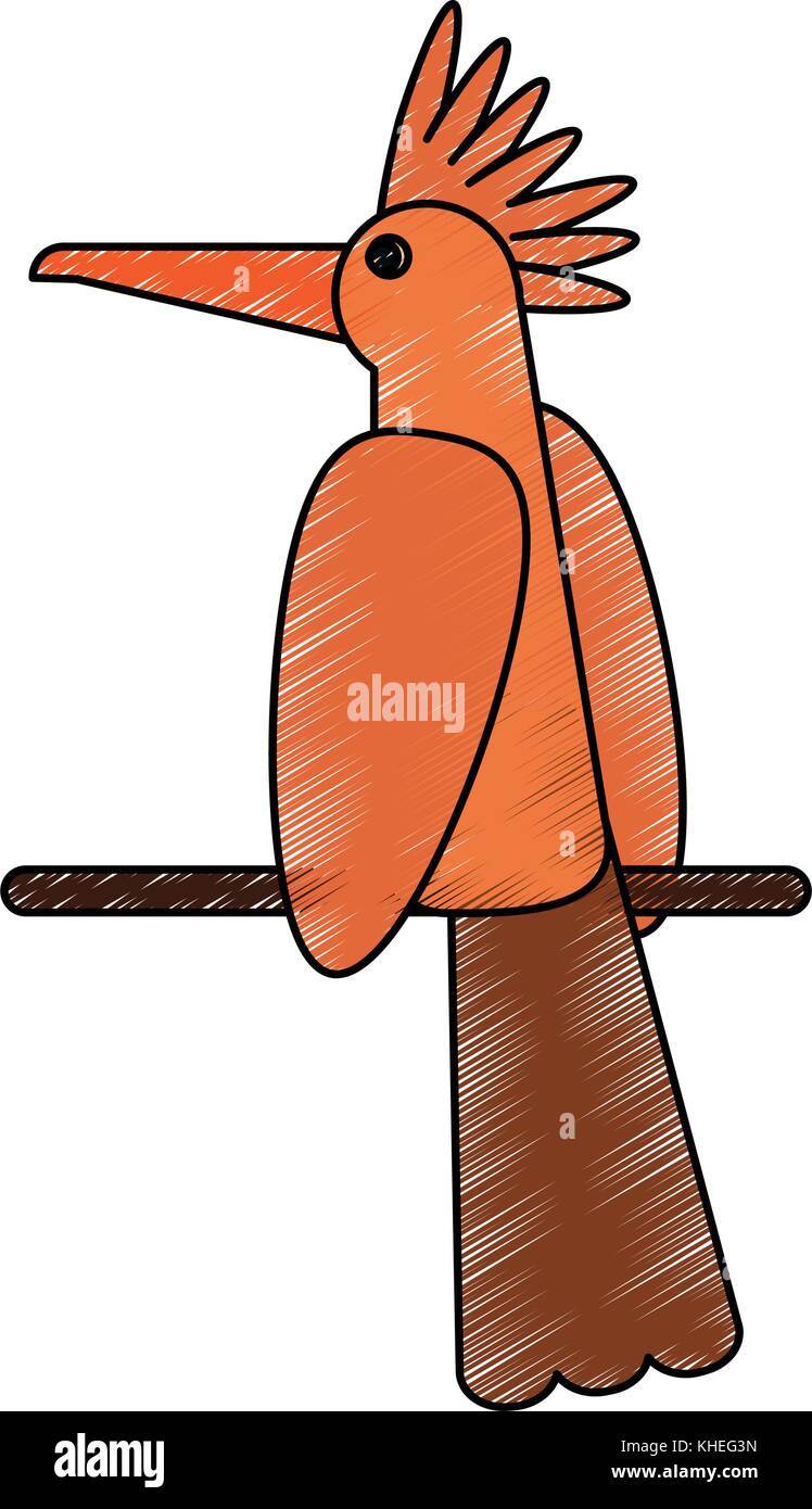 Beautiful parrot bird Stock Vector Image & Art - Alamy
