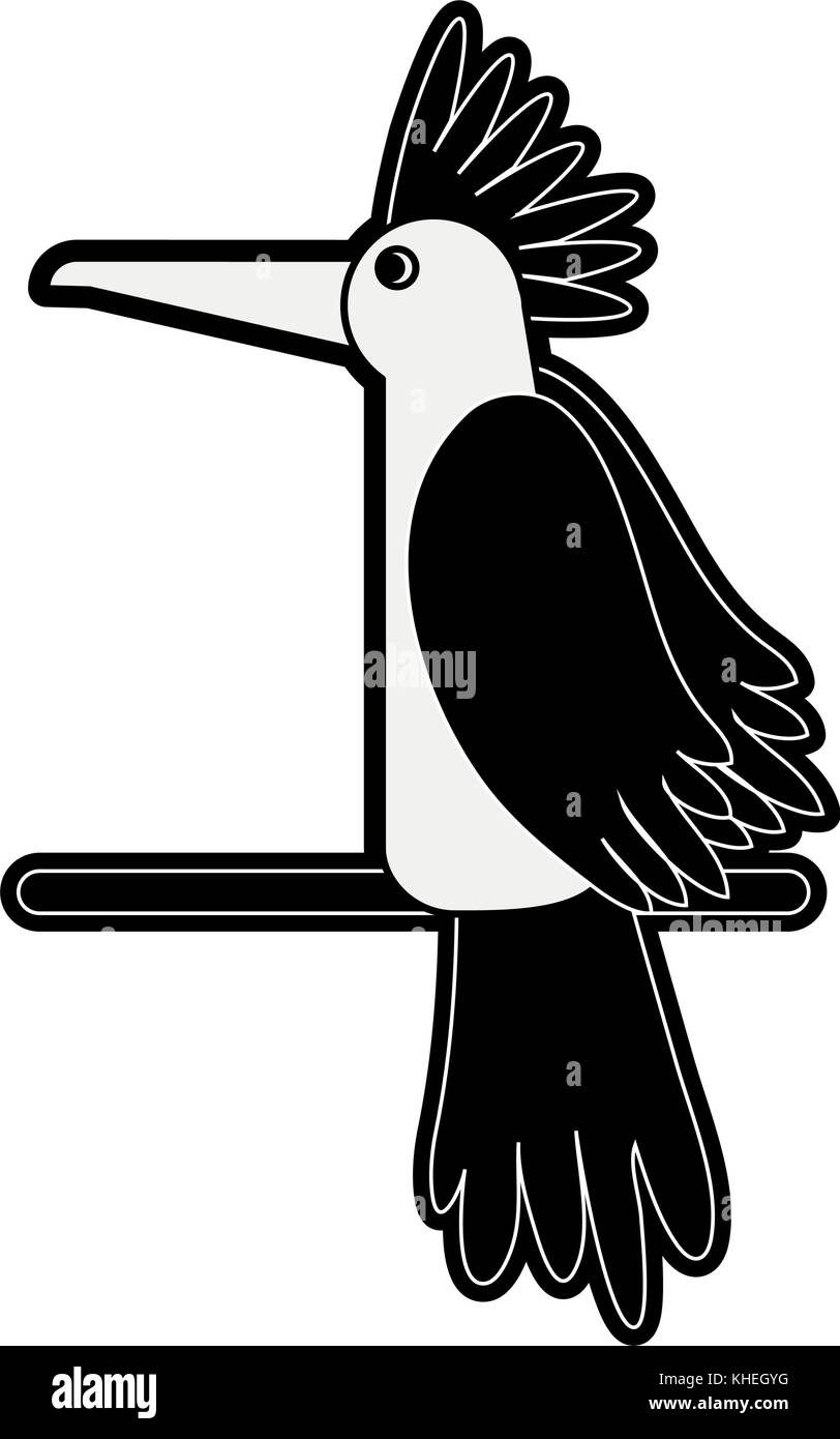 Beautiful parrot bird Stock Vector Image & Art - Alamy
