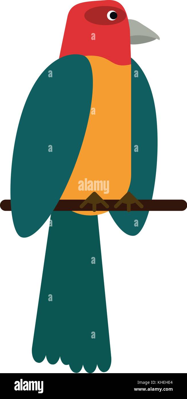 Beautiful parrot bird Stock Vector Image & Art - Alamy
