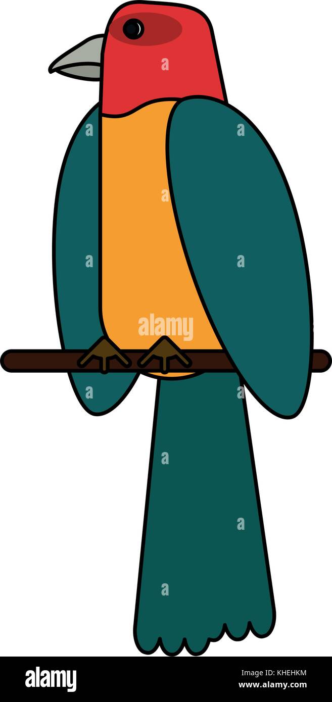 Beautiful parrot bird Stock Vector Image & Art - Alamy