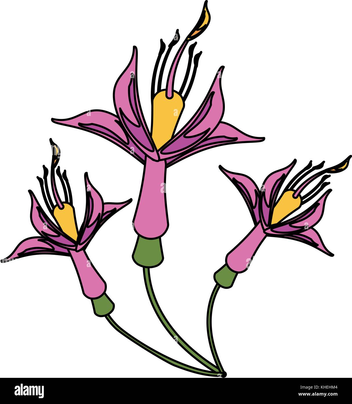 Beautiful flower symbol Stock Vector Image & Art Alamy