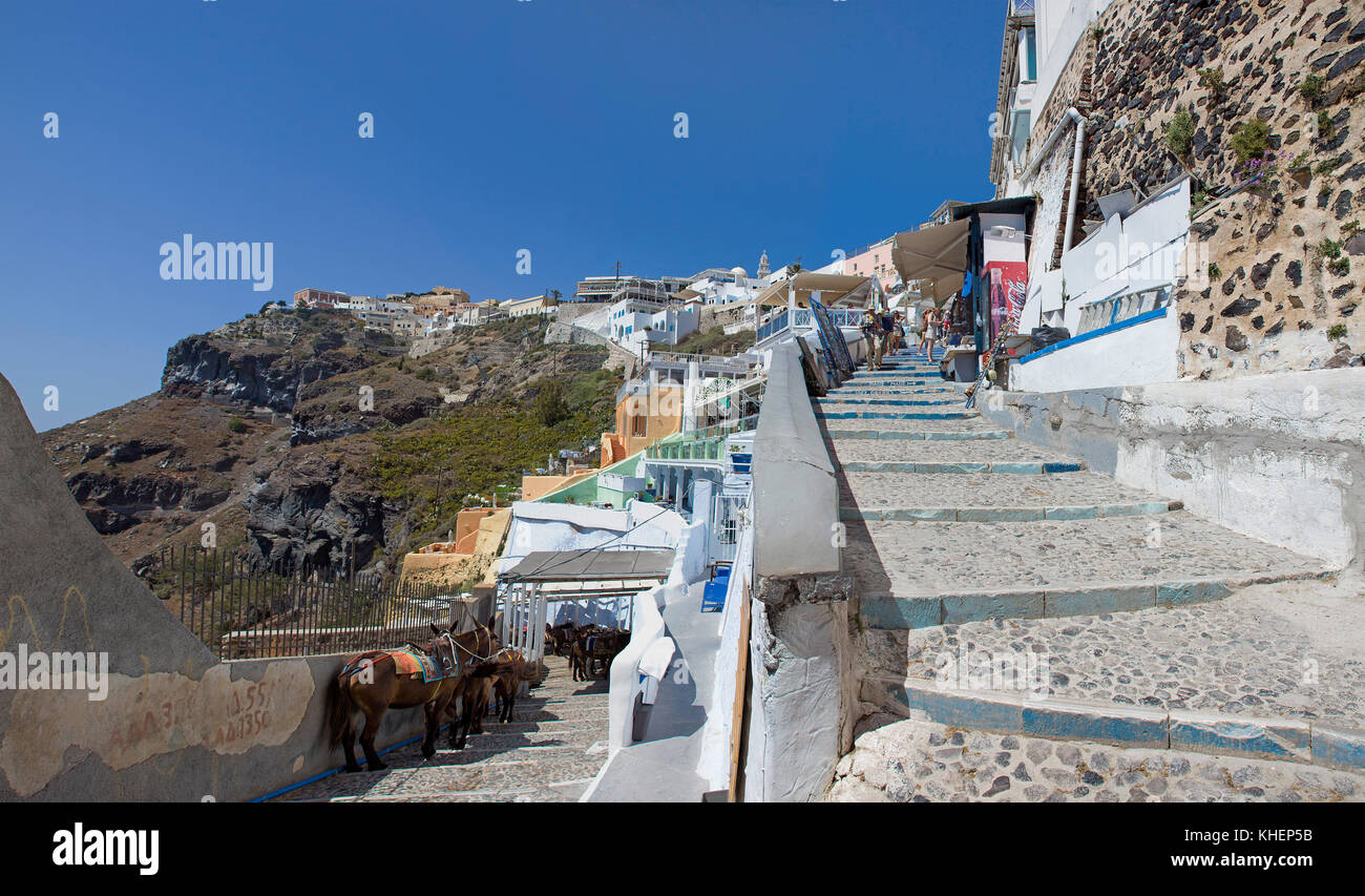 Donkeys waiting at shadow mural for tourists, tourist transportation down to the old harbour of Thira, Santorin island, Cyclades, Aegean, Greece Stock Photo