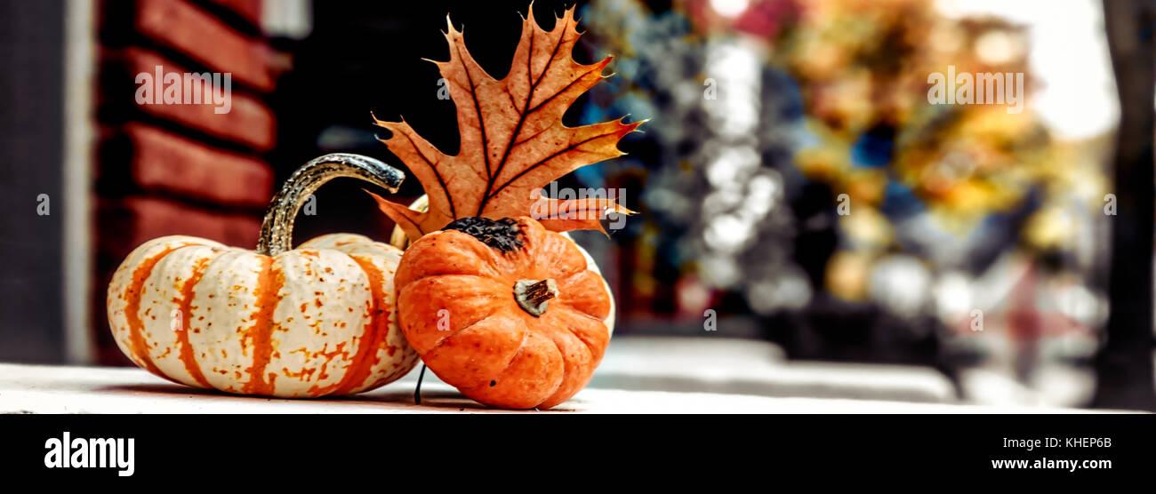 A traditional Thanksgiving display on a street in Alexandria, Virginia. Stock Photo