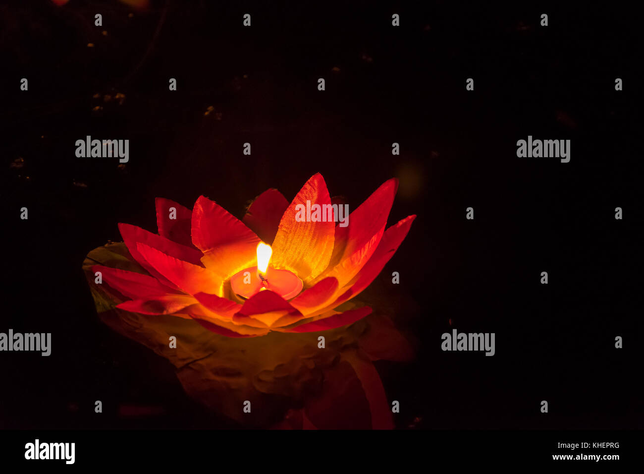 lotus flower paper lantern