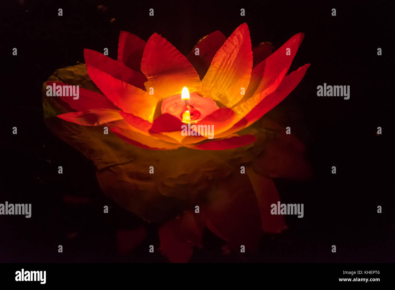 lotus flower paper lantern
