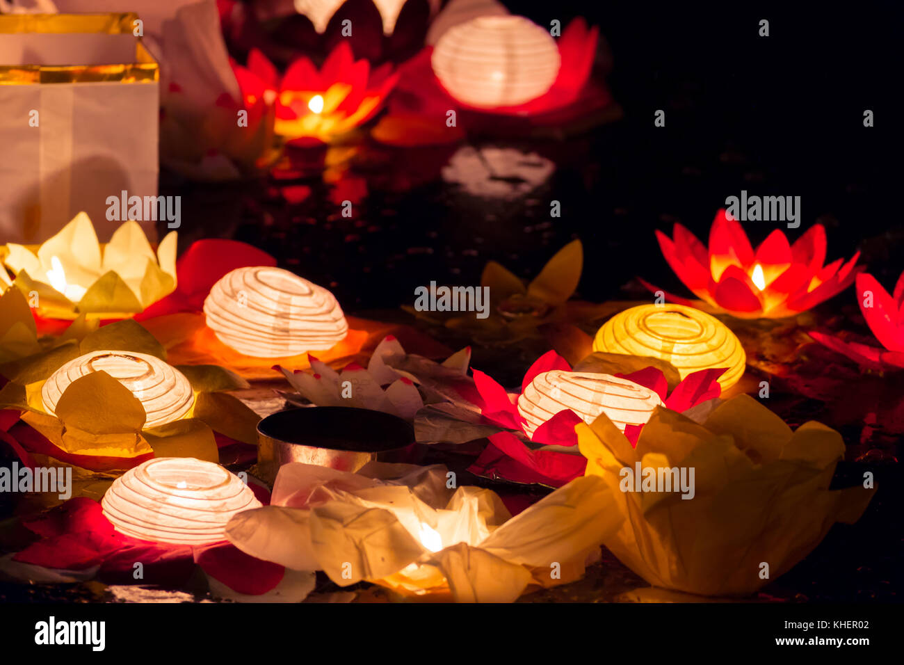 Lotus on sale paper lantern