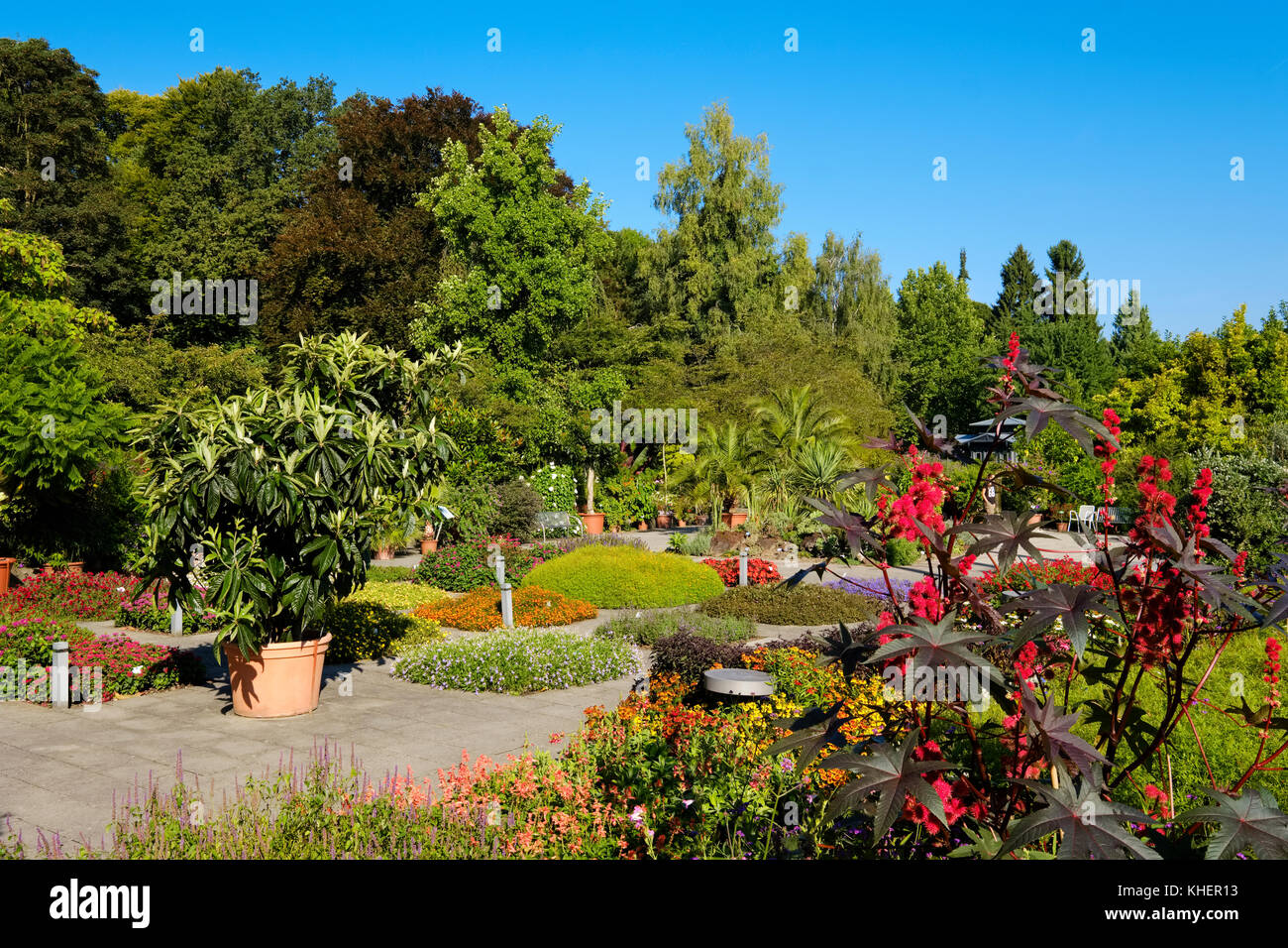 Lower garden, Botanical Garden Augsburg, Swabia, Bavaria, Germany Stock Photo