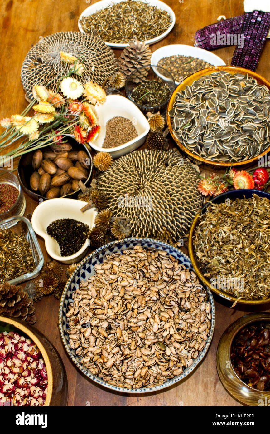 Flowers and seeds Stock Photo Alamy