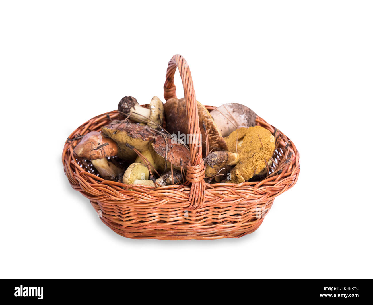 edible wild mushrooms in a brown wicker basket, isolated on white background Stock Photo