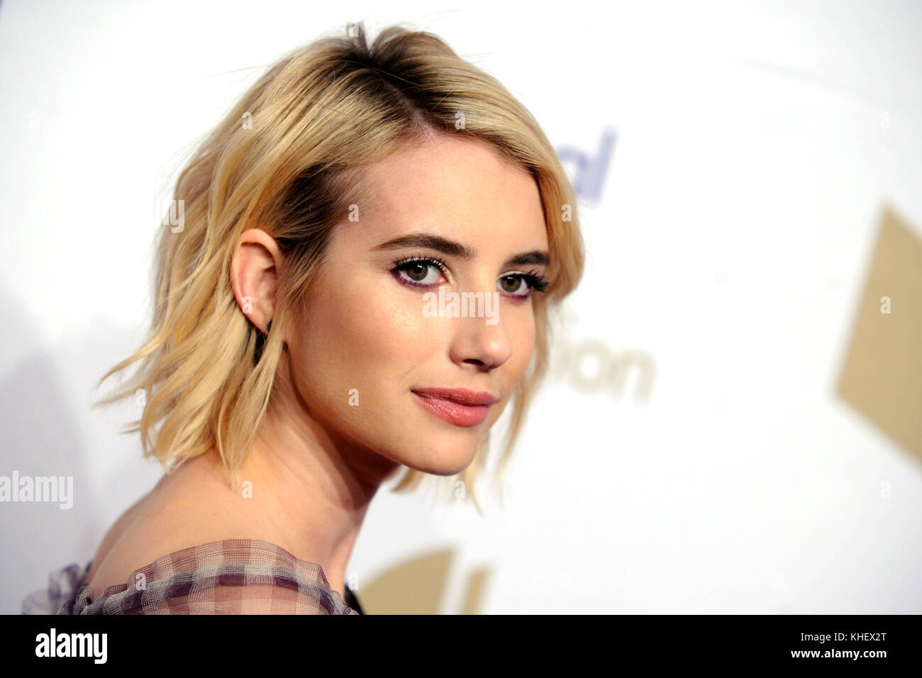 New York, USA. 15th Nov, 2017. Emma Roberts attends the 68th National Book Awards at Cipriani Wall Street on November 15, 2017 in New York City. Credit: Geisler-Fotopress/Alamy Live News Stock Photo