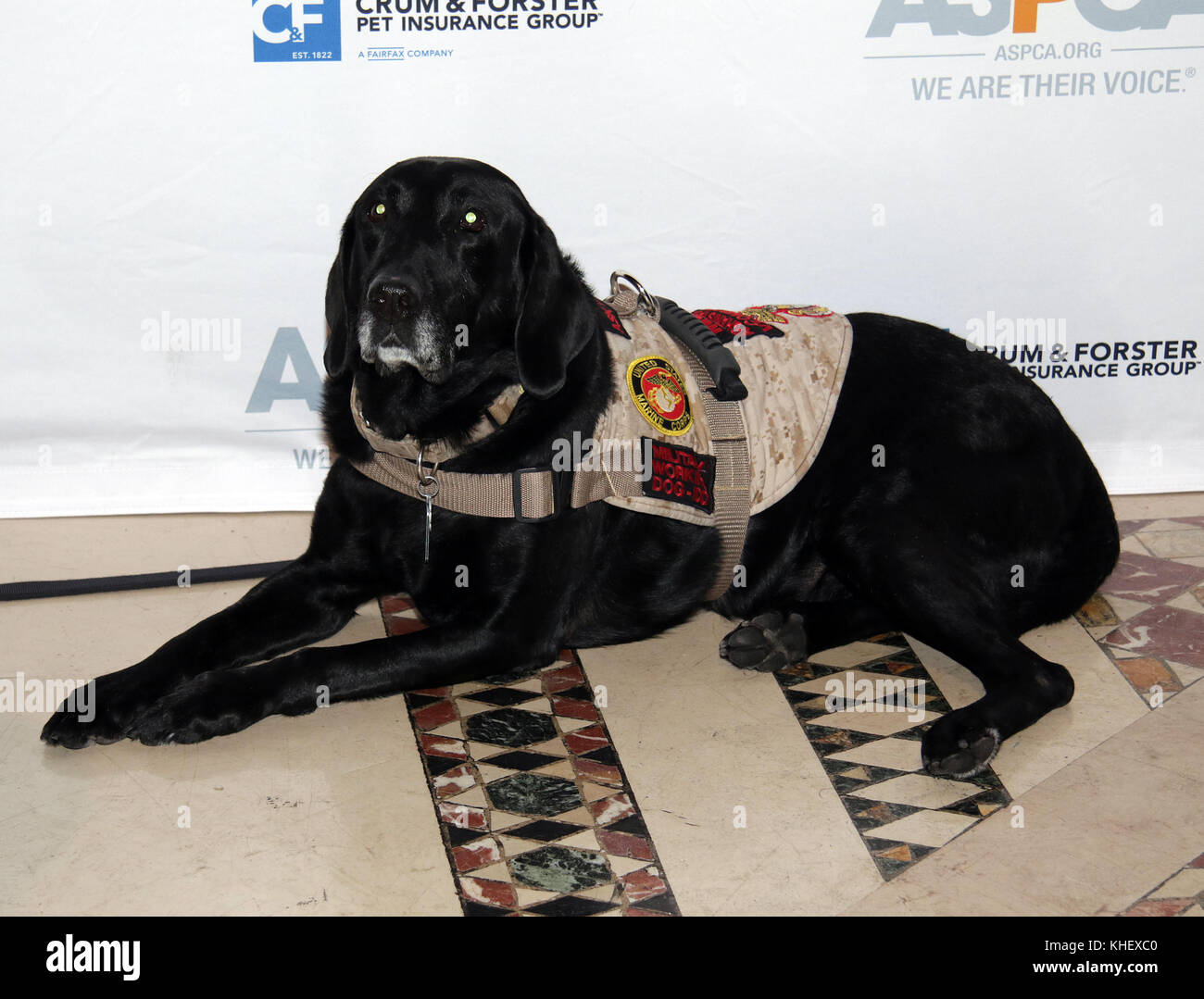New York, NY, USA. 16th Nov, 2017. The ASPCA 2017 Humane Awards ...