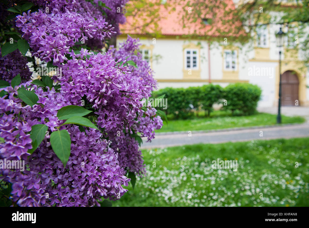 Lilac building hi-res stock photography and images - Alamy